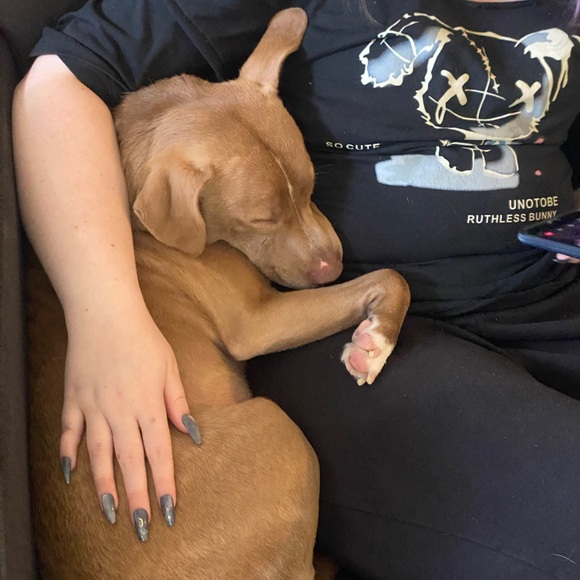 Meet your Posher, April - Picture 15 of 15